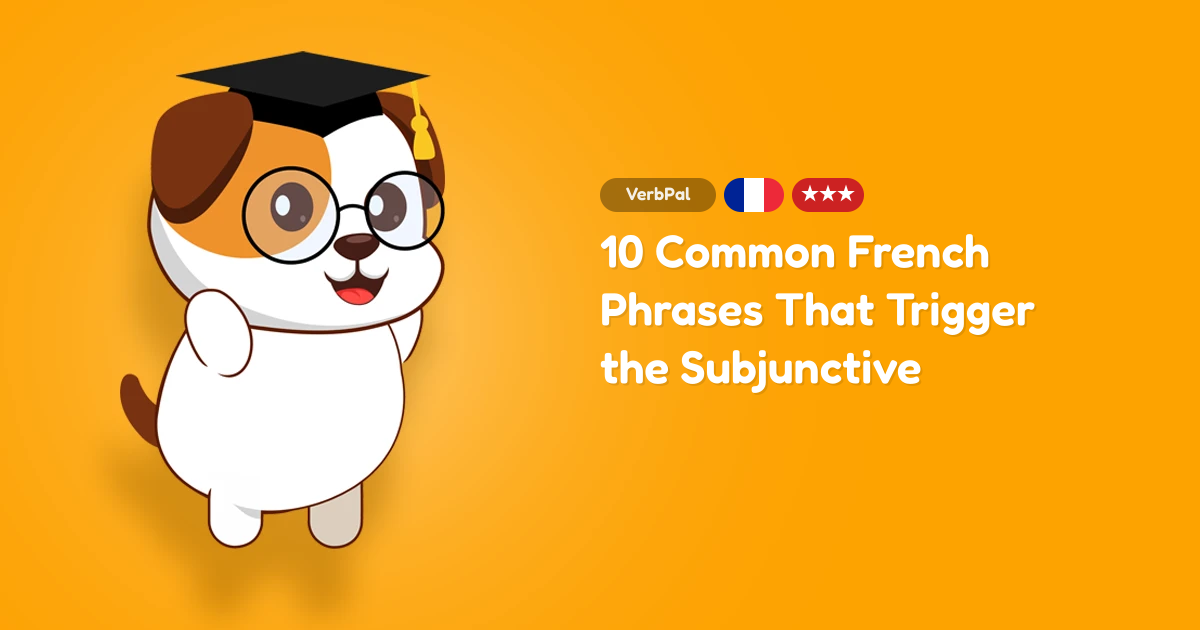 10 Common French Phrases That Trigger the Subjunctive